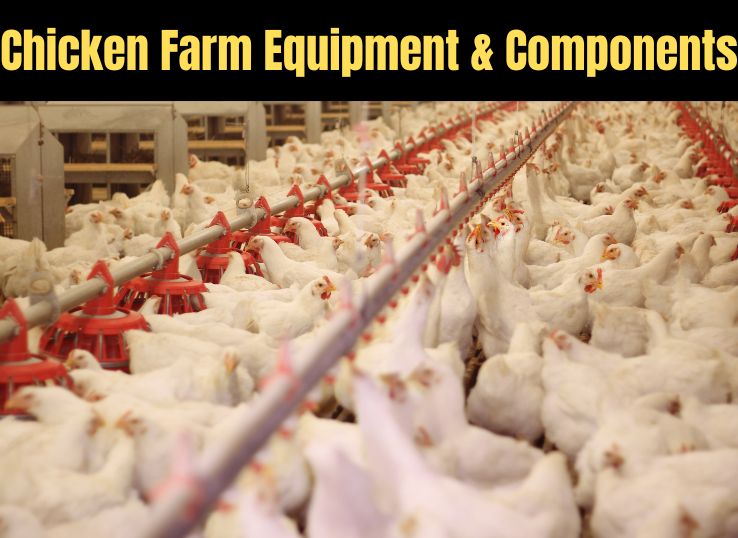 Chicken-Farm-Equipment-Components